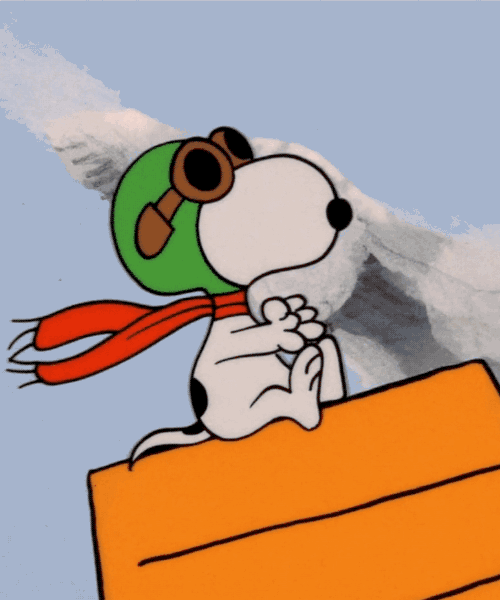 Snoopy - The Red Baron