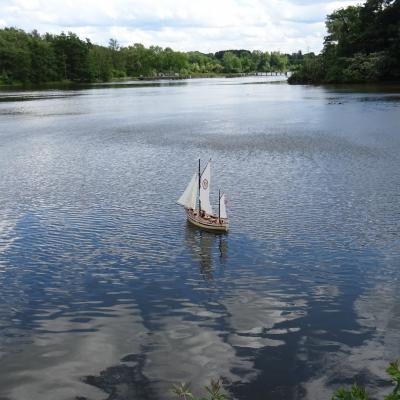 Wallpaper Gaffelsegler 025