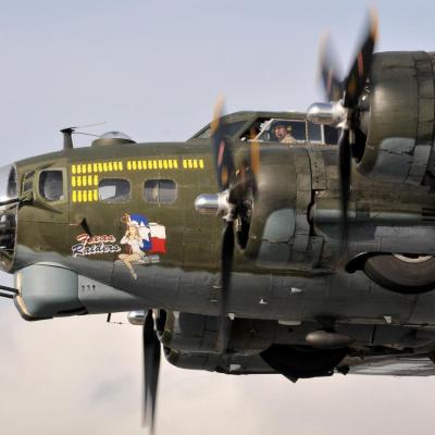 Wallpaper Warbird 003