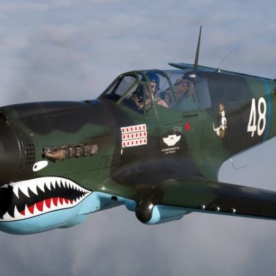 Wallpaper Warbird 005