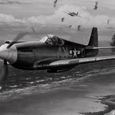 Wallpaper Warbird 006