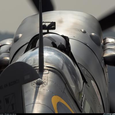 Wallpaper Warbird 018