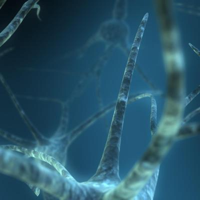 Wallpaper Dual Monitor 007