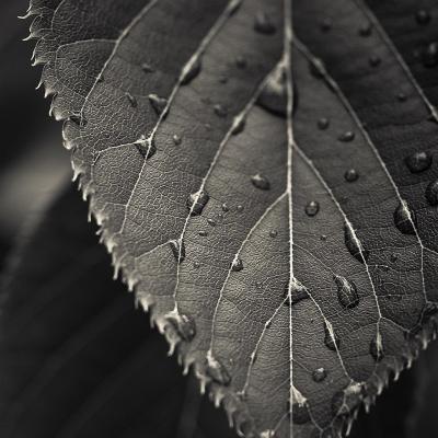 1877 Amazing Smartphone